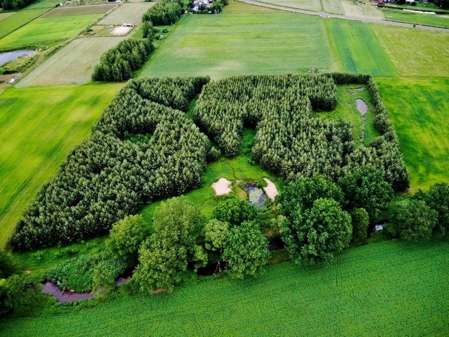 Nowe pole Paintball Arena dostępne od 2024 roku